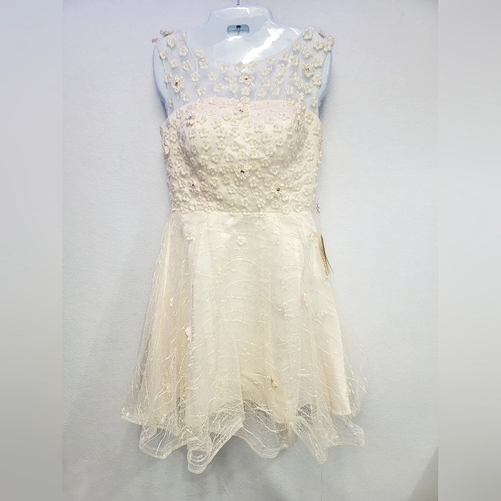 TS COUTURE Women's Size 2/4 Sleeveless Dress, Lined, Tulle skirt, Embroi…